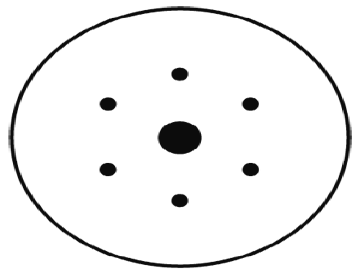 RAPTOR GOLD SANDING DISCS