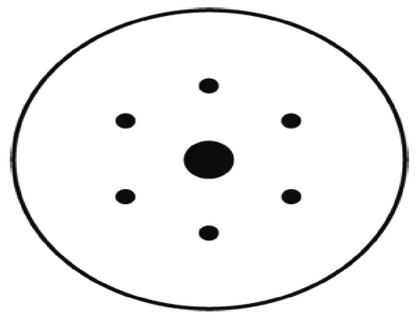 RAPTOR GOLD SANDING DISCS