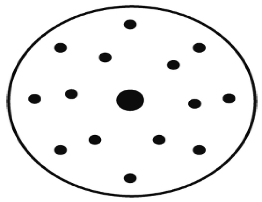 ICECUT CERAMIC SANDING DISCS